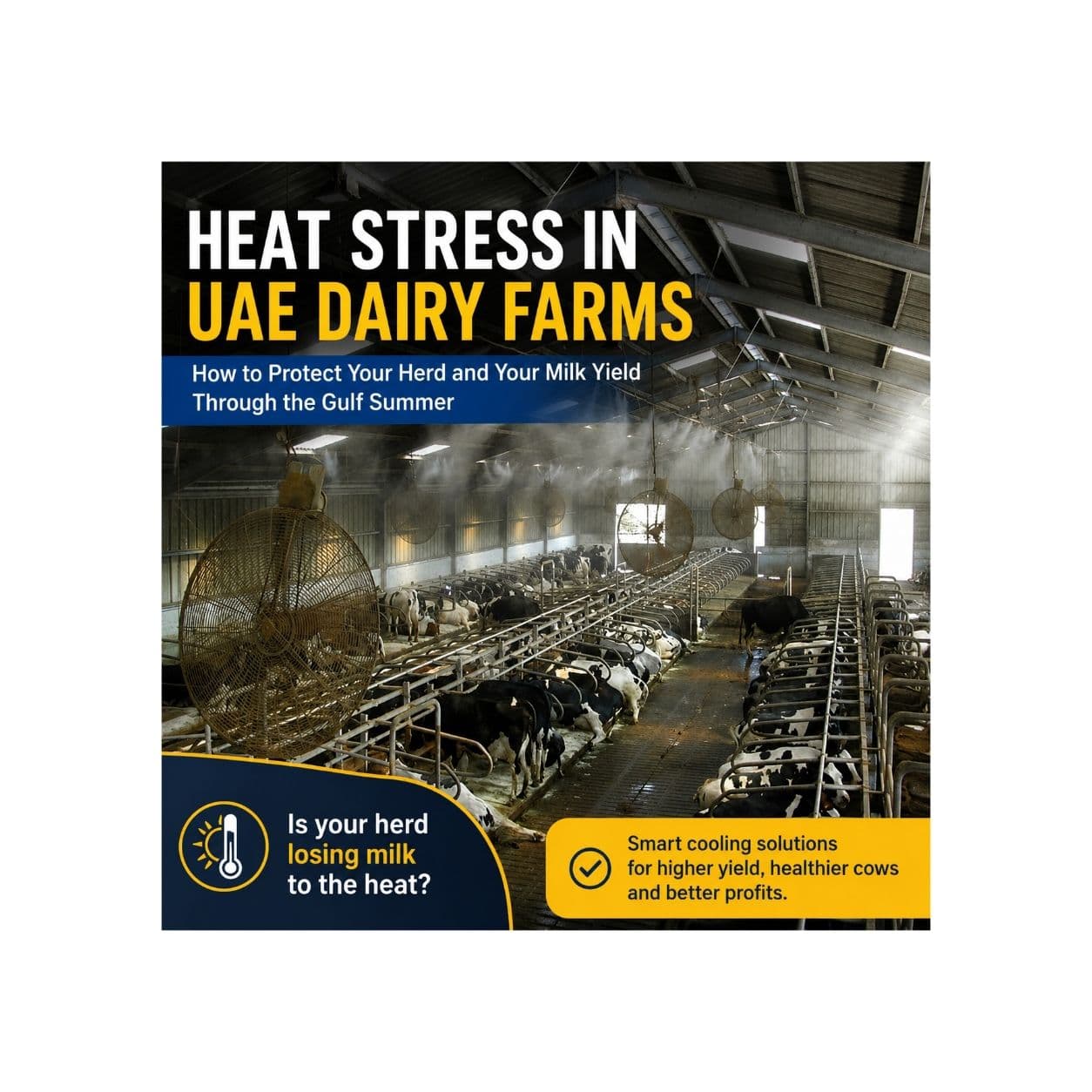 Heat Stress in UAE Dairy Farms